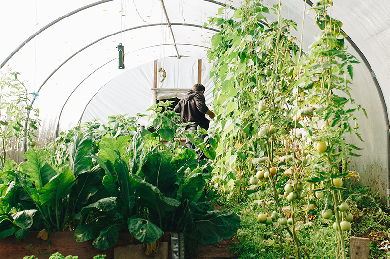 Gardening Services